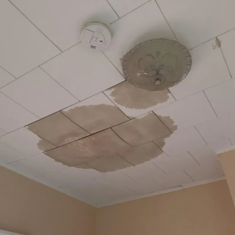 Ceiling Water Damage Repair in Logan County, KS