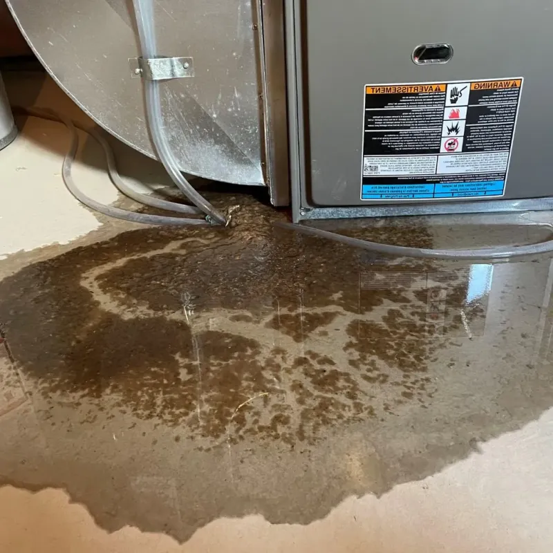 Pipe Burst and Leak Restoration in Logan County, KS