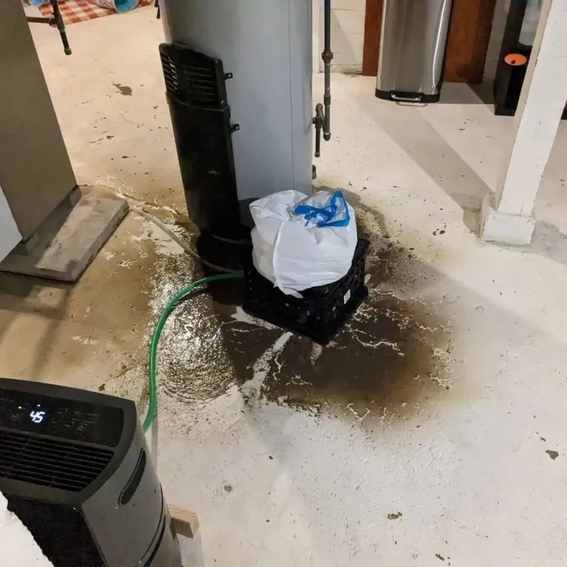 Sewage Backup Cleanup Service in Logan County, KS
